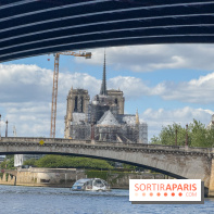 Brunch croisière à volonté sur la Seine – Le Diamant Bleu Paris