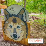 La Forêt des Loups - IMG 2086