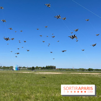 Festival de Cerfs-Volants à la Base 217 - IMG 2189