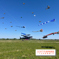 Festival de Cerfs-Volants à la Base 217