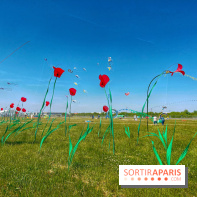 Festival de Cerfs-Volants à la Base 217 - IMG 2192