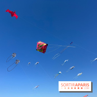 Festival de Cerfs-Volants à la Base 217 - IMG 2196