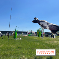 Festival de Cerfs-Volants à la Base 217 - IMG 2197