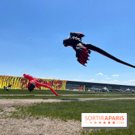 Festival de Cerfs-Volants à la Base 217 - IMG 2209