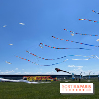 Festival de Cerfs-Volants à la Base 217