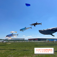 Festival de Cerfs-Volants à la Base 217 - IMG 2215