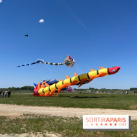 Festival de Cerfs-Volants à la Base 217