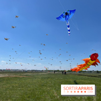 Festival de Cerfs-Volants à la Base 217 - IMG 2218