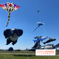 Festival de Cerfs-Volants à la Base 217
