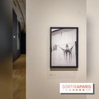 Jean Gaumy et la Mer : l'exposition maritime intimiste au Musée de la Marine - IMG 5449