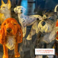 Collection dédié aux chiens