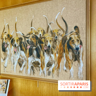 Collection dédié aux chiens