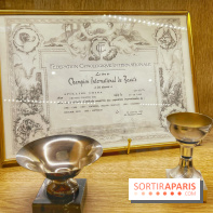 Collection dédié aux chiens - IMG 2329