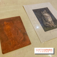 Musée Daubigny - IMG 2389