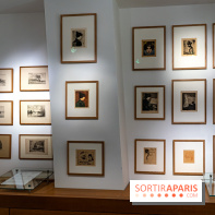 La maison du Docteur Gachet, les photos - A7C08617