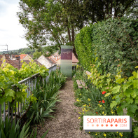 La maison du Docteur Gachet, les photos - A7C08631