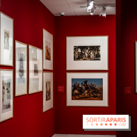 Exposition Van Gogh, les derniers voyages - photos - A7C08712