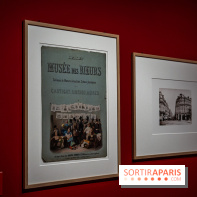 Exposition Van Gogh, les derniers voyages - photos - A7C08715
