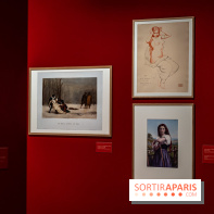 Exposition Van Gogh, les derniers voyages - photos - A7C08717