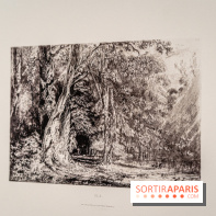 Exposition Van Gogh, les derniers voyages - photos - A7C08724