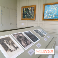 Exposition Van Gogh, les derniers voyages - photos - A7C08748