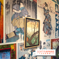 Exposition Van Gogh, les derniers voyages - photos