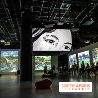 Exposition Van Gogh, les derniers voyages - photos - A7C08796