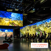 Exposition Van Gogh, les derniers voyages - photos - A7C08799