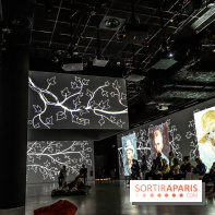 Exposition Van Gogh, les derniers voyages - photos - A7C08807