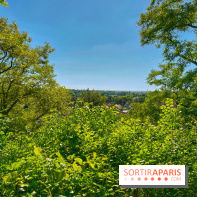 Encore plus d'Auvers-sur-Oise