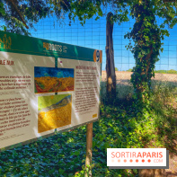 Encore plus d'Auvers-sur-Oise