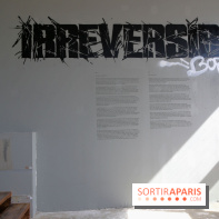 Bordalo II présente son exposition « Irréversible » à Paris, nos photos - Expo Bordalo 7 fotor 20250521131214