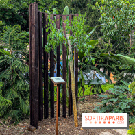 Jardins, Jardin 2025 : CHANEL dévoile son jardin parfumé & immersif au parc de la Villa Windsor - image00005