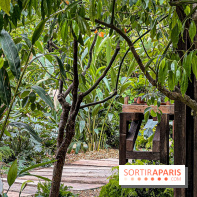 Jardins, Jardin 2025 : CHANEL dévoile son jardin parfumé & immersif au parc de la Villa Windsor - image00009