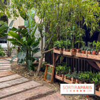 Jardins, Jardin 2025 : CHANEL dévoile son jardin parfumé & immersif au parc de la Villa Windsor - image00023