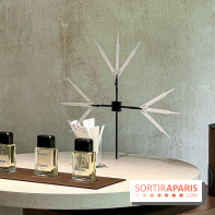 Jardins, Jardin 2025 : CHANEL dévoile son jardin parfumé & immersif au parc de la Villa Windsor - image00037