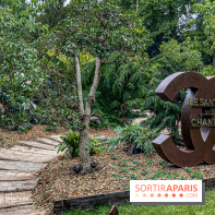 Jardins, Jardin 2025 : CHANEL dévoile son jardin parfumé & immersif au parc de la Villa Windsor - image00056