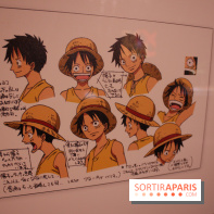 One Piece à l'Aquarium de Paris