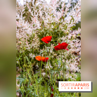 Les Jardins de Juliette à Elancourt