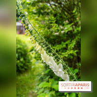 Les Jardins de Juliette à Elancourt
