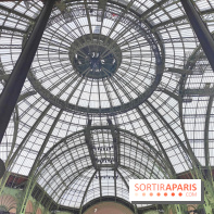 Grand Palais, visuels du monument parisien - fotor 1749119977401