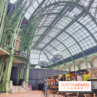 Grand Palais, visuels du monument parisien - fotor 1749119963565