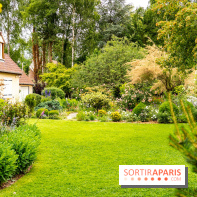 Le Jardin des Aubépines a Auffargis  - A7C01339