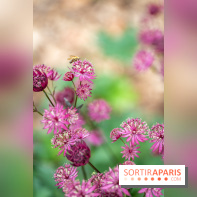 Le Jardin des Aubépines a Auffargis  - A7C01452