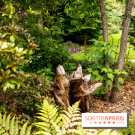 Le Jardin des Aubépines a Auffargis  - A7C01304