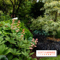 Le Jardin des Aubépines a Auffargis  - A7C01328