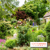 Le Jardin des Aubépines a Auffargis  - A7C01415