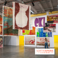 Exposition Disco de Vivan Sutter au Palais de Tokyo
