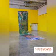 Exposition Disco de Vivan Sutter au Palais de Tokyo