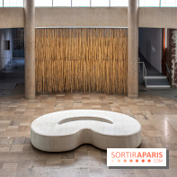 Exposition de Thảo Nguyên Phan au Palais de Tokyo - DSC 3070